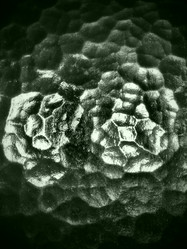 Similar image 21374933