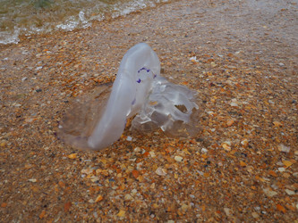 Similar image 21375099