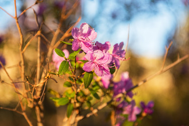 Similar image 21364339