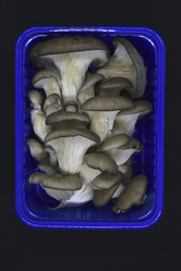 Similar image 21343597