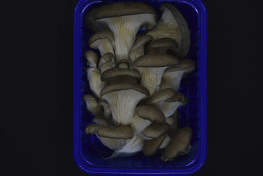 Similar image 21343598