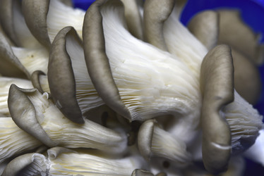 Similar image 21343600