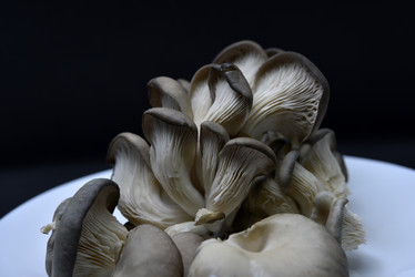 Similar image 21343601