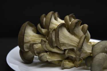 Similar image 21343602