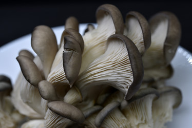 Similar image 21343603