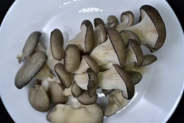 Similar image 21343604