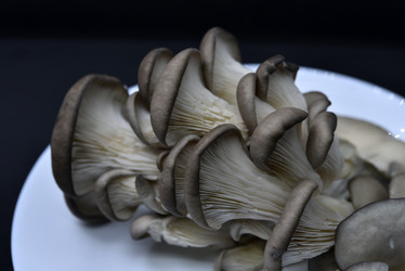 Similar image 21343605