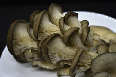 Similar image 21343606