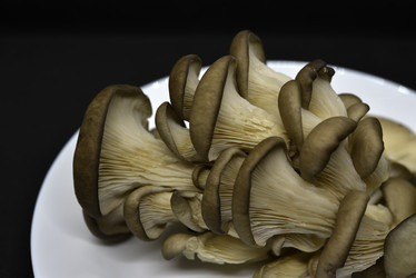 Similar image 21343608