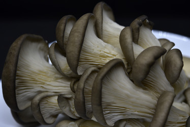 Similar image 21343609