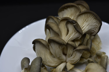 Similar image 21343610