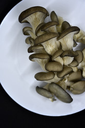 Similar image 21343611