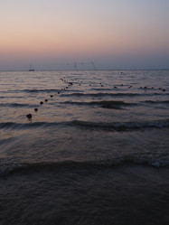 Similar image 21374105