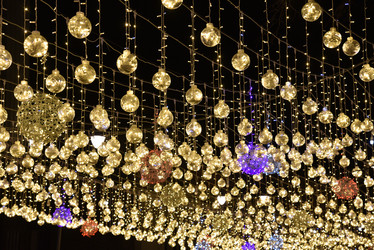 Similar image 21366228