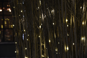 Similar image 21366231