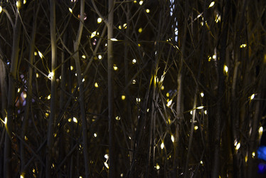 Similar image 21366233