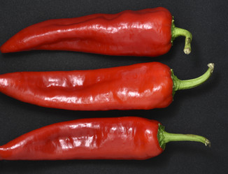 Similar image 21366022