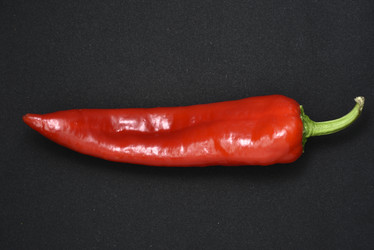 Similar image 21366023