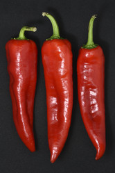 Similar image 21366025