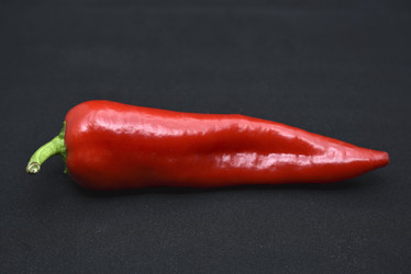 Similar image 21366026