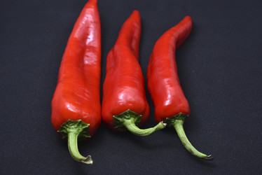 Similar image 21366028