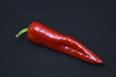 Similar image 21366031