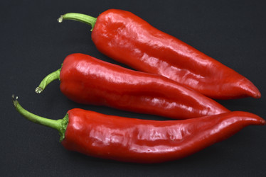 Similar image 21366032