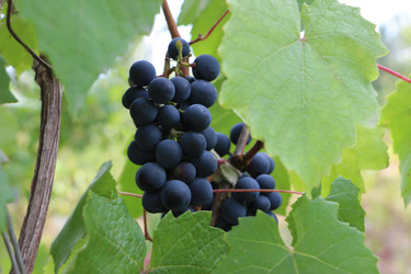 Similar image 21351146