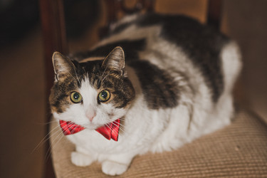 Similar image 21371614