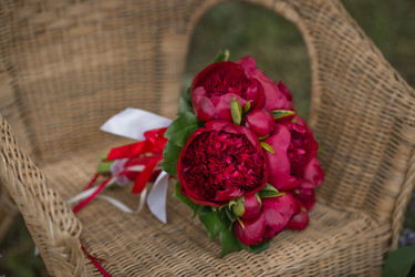 Similar image 21371451