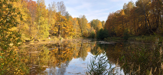 Similar image 21371679