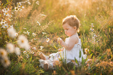 Similar image 21371682