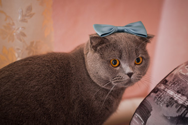 Similar image 21371282