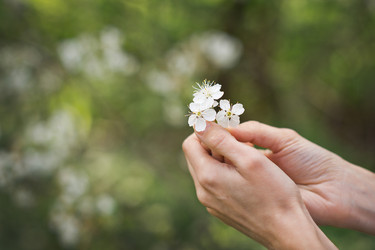 Similar image 21371921