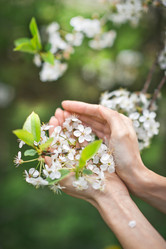 Similar image 21371922