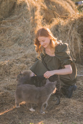 Similar image 21371310