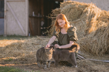 Similar image 21371316