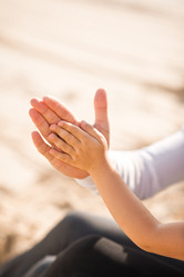 Similar image 21371534