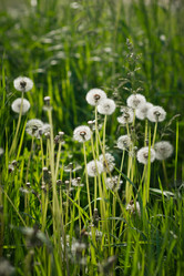 Similar image 21371537