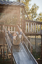 Similar image 21371364