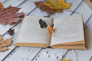 Similar image 21371554