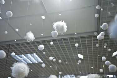 Similar image 21371562