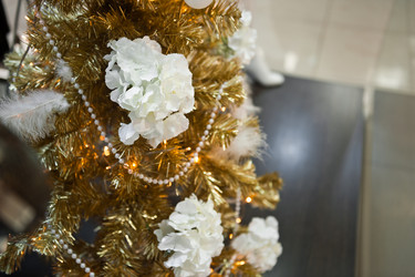 Similar image 21371563