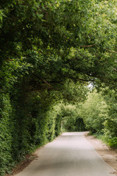 Similar image 21371191