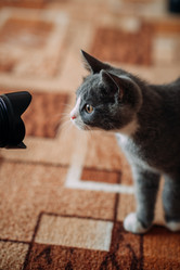 Similar image 21371384