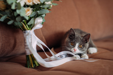 Similar image 21371390