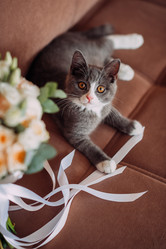 Similar image 21371392