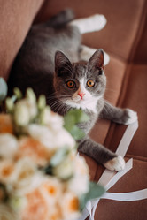 Similar image 21371396