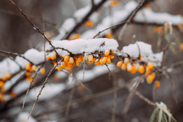 Similar image 21371590