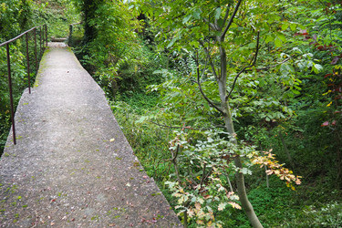 Similar image 21374110